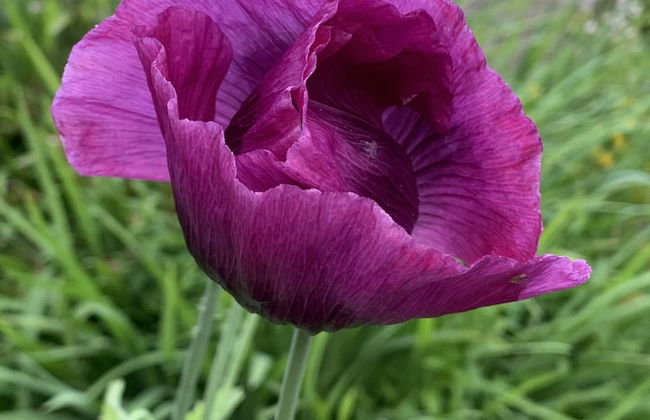 Pencastell Views Pod With Stunning Views - Photo 26