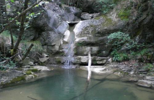 Agriturismo Le Querciole - Photo 49