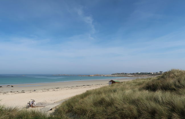 La cinquième Saison - Foto 20