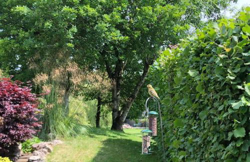 The Cottage at Well House - Foto 16