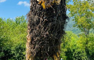 La Caliera 5 Casa Vacanze - Foto 29