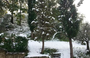 Azienda Agrituristica Il Moraiolo - Photo 22