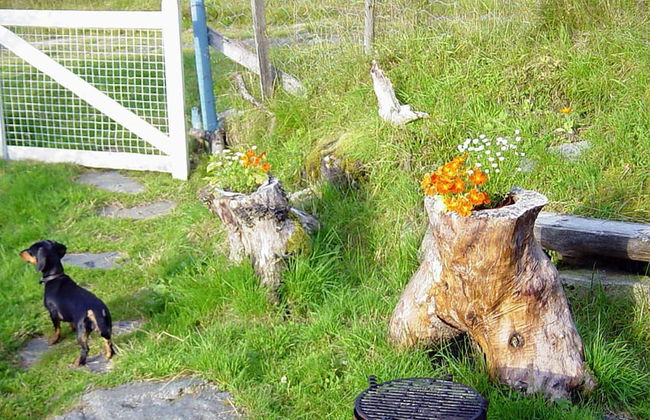 6 Person Holiday Home in Akra-by Traum - Foto 8