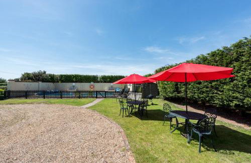 Birds Farm - Foto 86