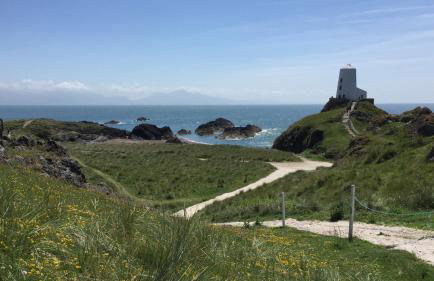 Pen Braint - Foto 30