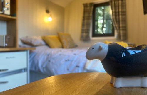 Herdie Hideaway - Shepherds Hut - Foto 17