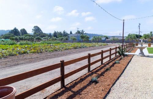 Luxury Farmhouse Near Coast & Wine - Foto 28