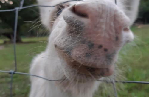 Am Hohestein - Foto 23