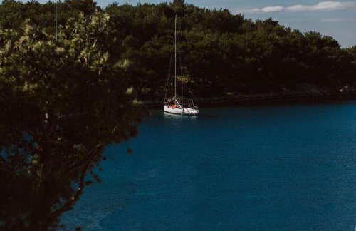 Alexandra Apartments - Foto 66