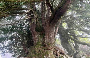 Casa Rural Basiver - Habitación Pico Samelar - Photo 36