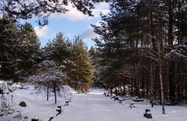 Leśna Polana - Foto 27