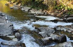 Domki Pod Lasem - Photo 39