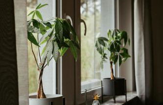 Ferienwohnung „Göttschied“ - Foto 10