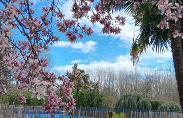 Au Moulin du Comte - en gîte - Photo 32