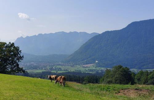 Fuchsbauernhof - Foto 13