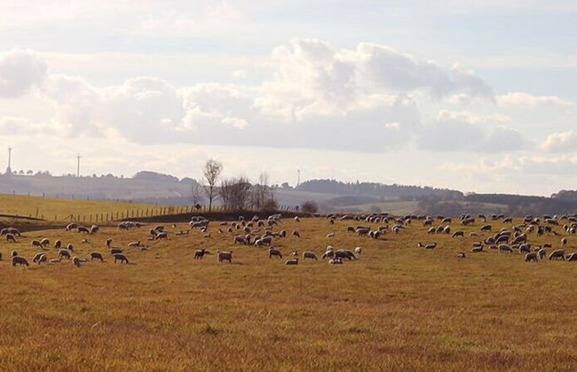 Bernis Ferienhaus - Foto 14