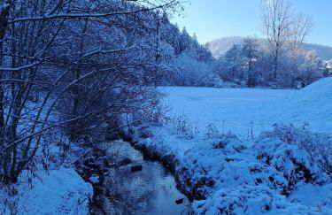 Les Papillons - Foto 15