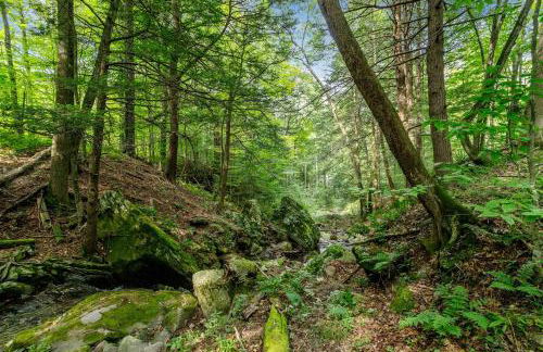 Spacious Villa Rental with a Pool for a Large Group near Catskill Mountains, New York - Photo 49