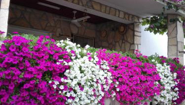 Apartments Zora - Foto 2