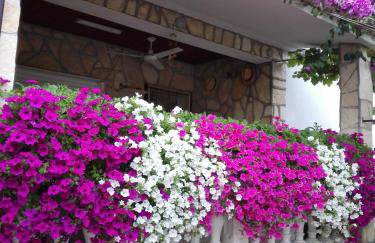 Apartments Zora - Photo 2