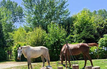 Casa do Moinho Rural campo e praia , 9 pessoas, animais benvindos - Foto 34