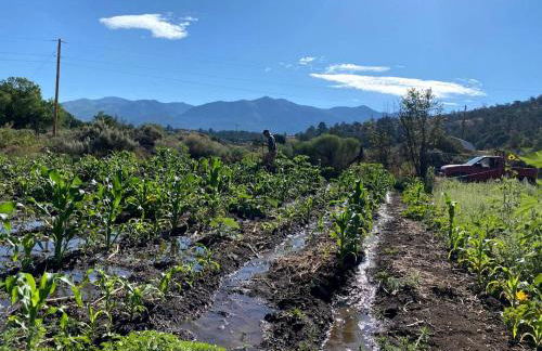 Rustic Log Cabin on Eco-Friendly Farm near Taos, New Mexico - Foto 54