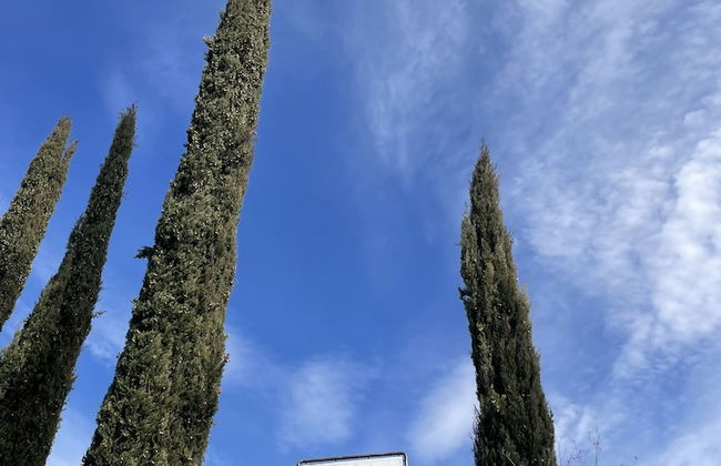 Agriturismo Poggio Bonelli - Foto 34