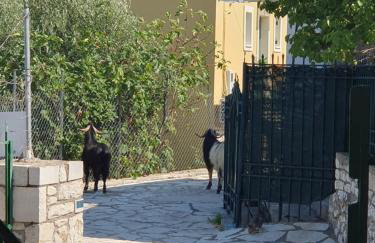 Les terrasseSSS de KASTOS - Foto 4
