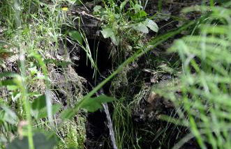 Ferienwohnung zum Bären - Photo 7