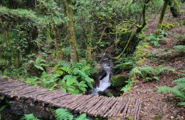 Cantinho do Talasnal - Foto 35