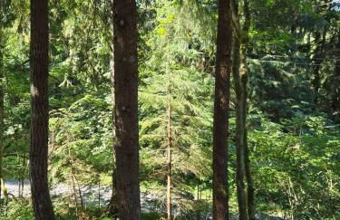 Dovetail Den - Tranquil with Hot Tub and Air Conditioning - Foto 13