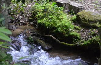 Panther Creek Cabins - Foto 9