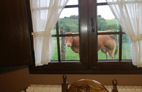 Apartamentos rurales Casa Do Cabo - Foto 41