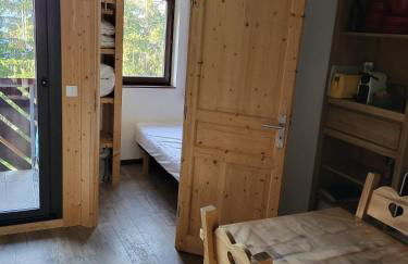 Appartement T2 col de Merdassier au pied des pistes - Photo 3