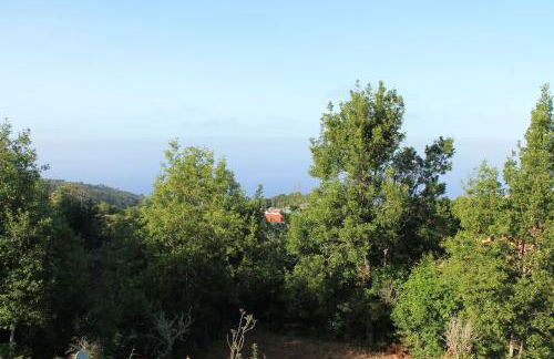 Casa Fita en El Cubo de La Galga - Photo 35