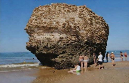 Bright Apartment AM - Photo 14