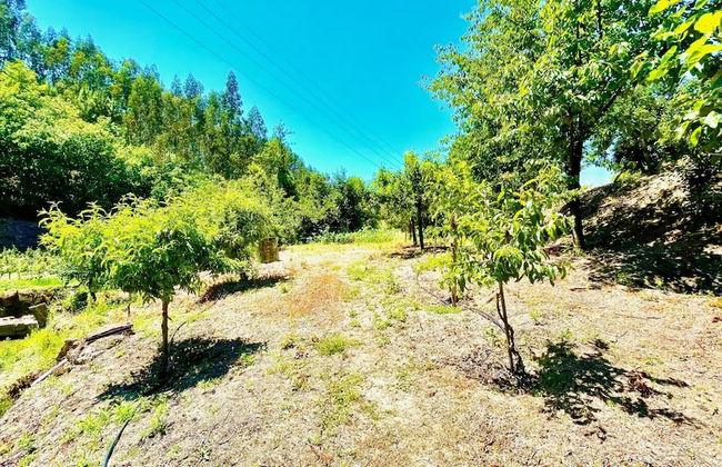 Stunning Villa Portugal Private Pool Diving Board - Photo 5