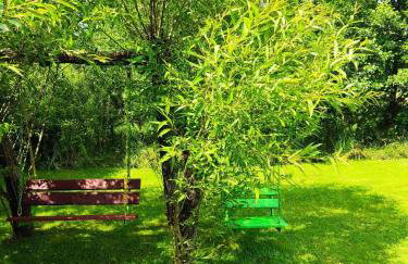 Domki w Bieszczadach - Foto 52