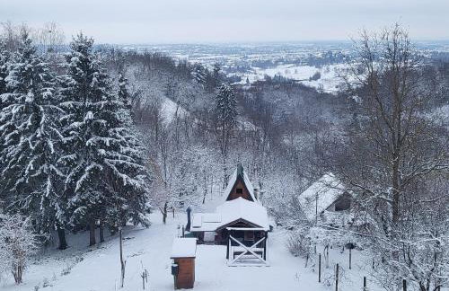 Forest paradise - Photo 35