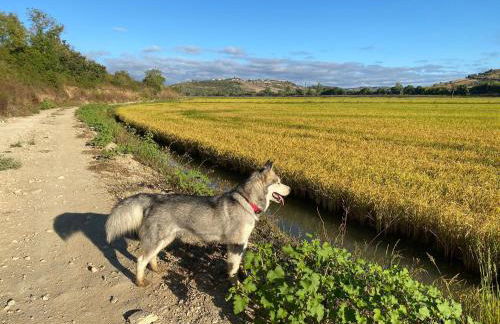 OakTree Villa - Quinta da BellaVista - Foto 28