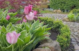 Ferienwohnung Am Speicher - Foto 12