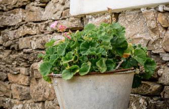 Nostro Rifugio - Foto 33