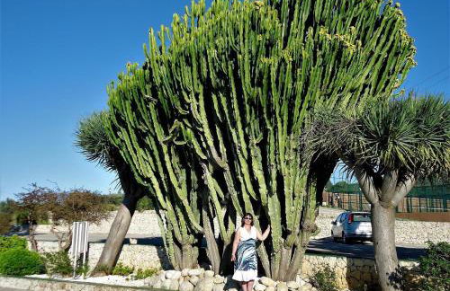 Villa de la Luz - Foto 49