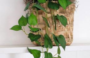 Blend Coliving One - 3a - Foto 16