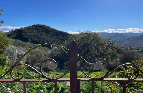 Villa Pietralunga in the woods - Foto 15