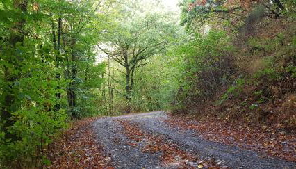 Neumühle Ferienwohnung 2 - Foto 2