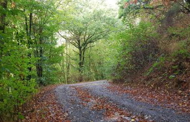 Neumühle Ferienwohnung 2 - Foto 2