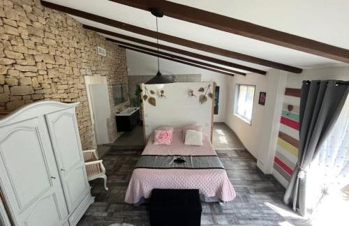 84A - "Mas d'Elise" magnificent villa with pool in the heart of Luberon - Foto 5