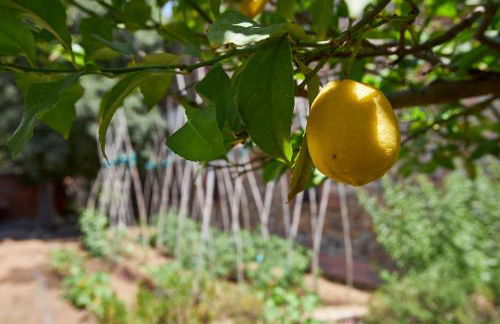 Mas Can Calet Aparthotel - Foto 95