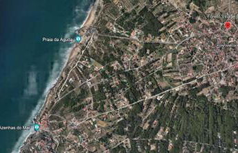 Forest Village Exótic - Foto 16